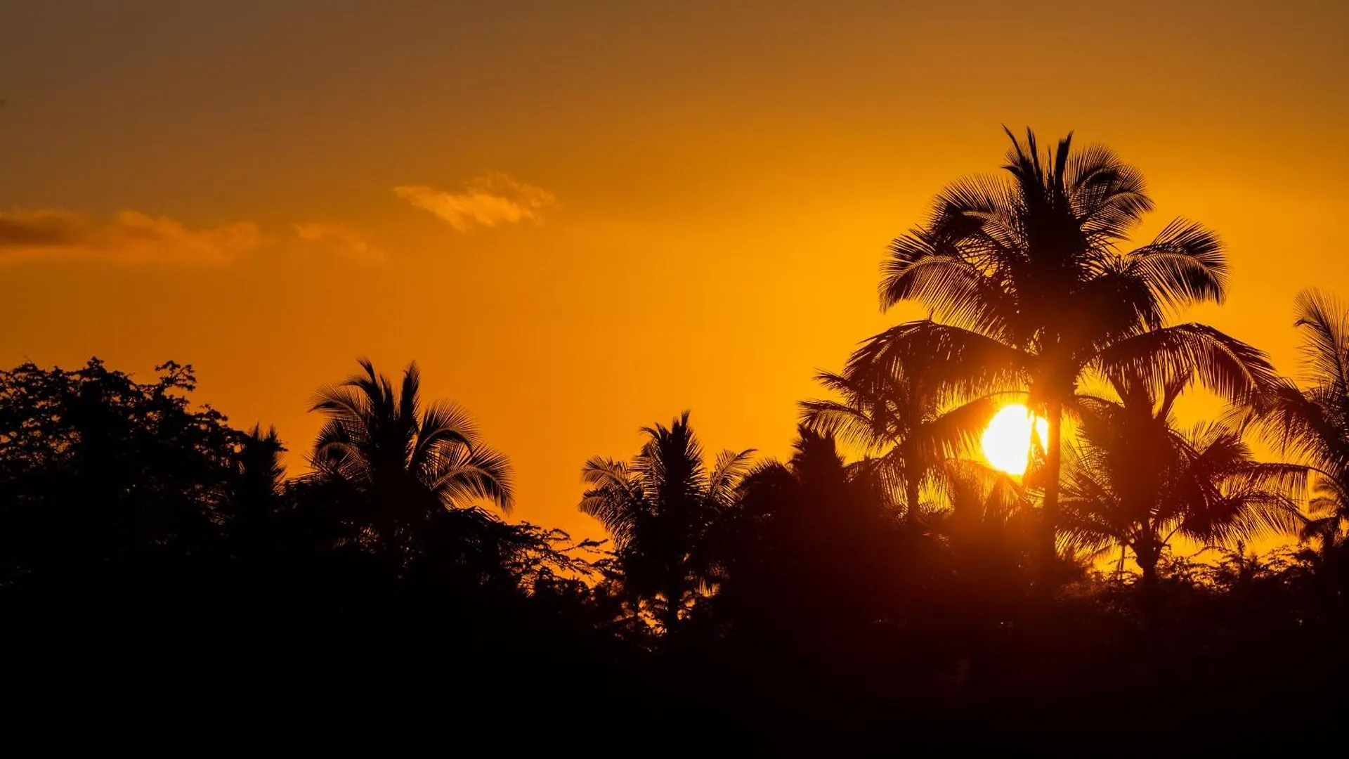 Ohana Nani Family Friendly 3Br Kamilo Home With Private Pool Waikoloa 0*,  United States