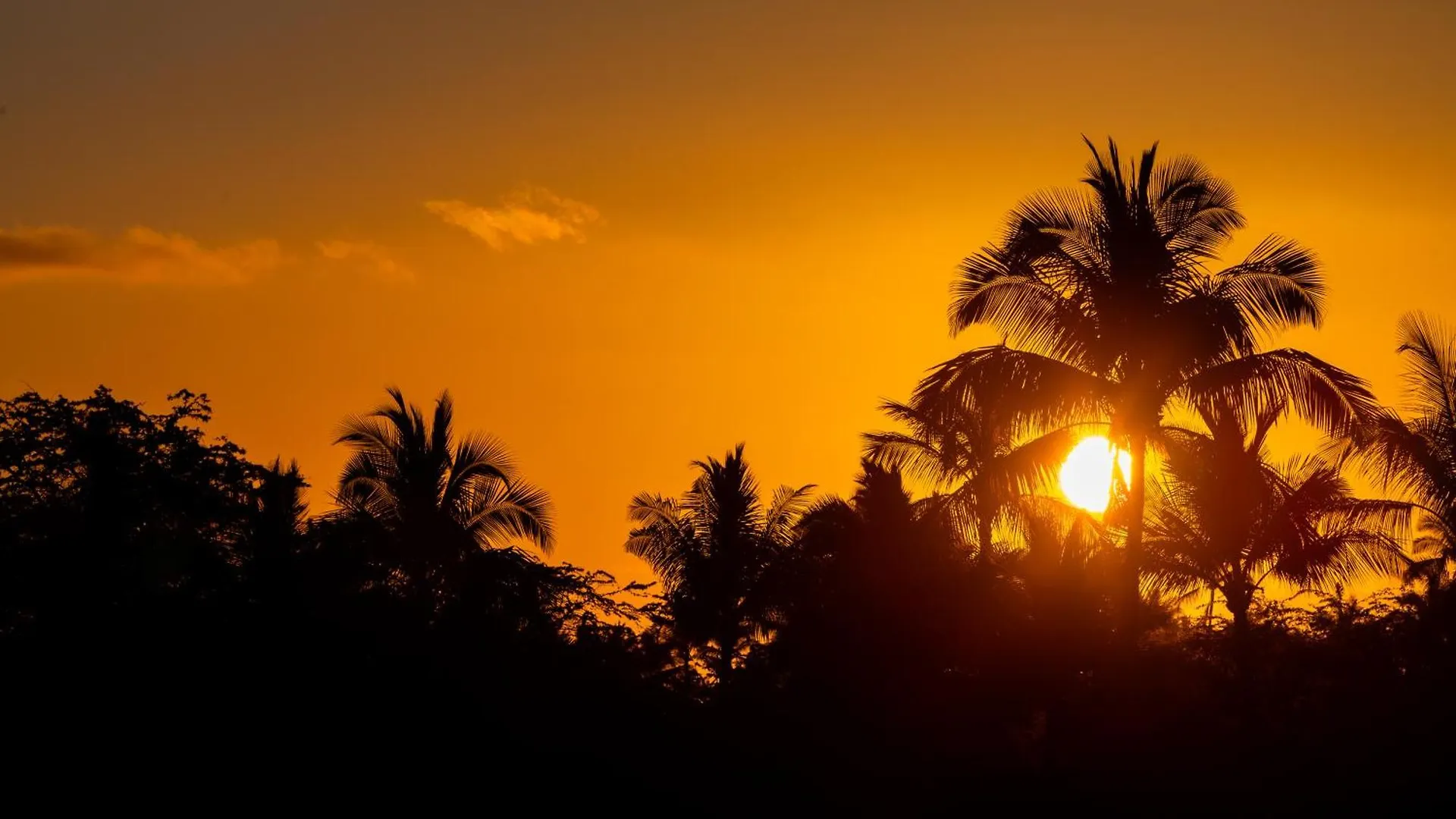 Ohana Nani Family Friendly 3Br Kamilo Home With Private Pool Waikoloa United States